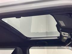 ���ե� �ǥ����ܡ�������������٥���㡼�����Ͳ���ٱ�֥졼�����̣ţġ��ࡼ��롼�� 1100443A20251120T004 5