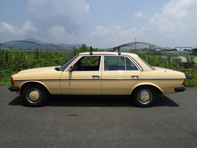 230E(5枚目)