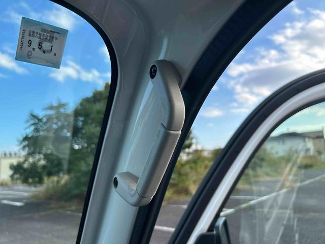 トッテの写真です