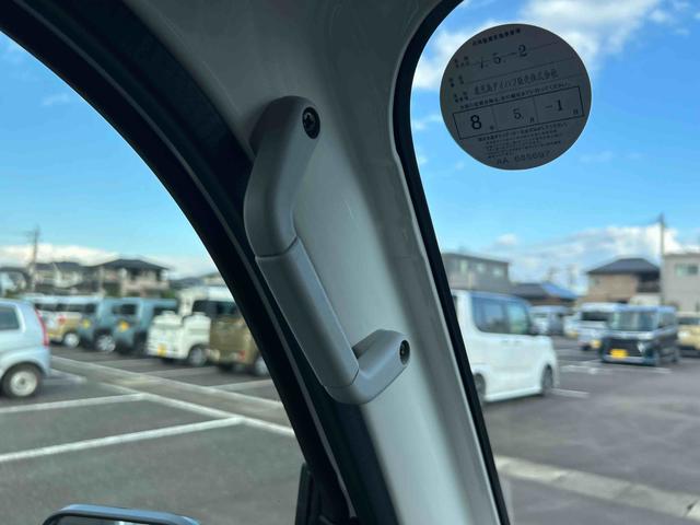 トッテの写真です