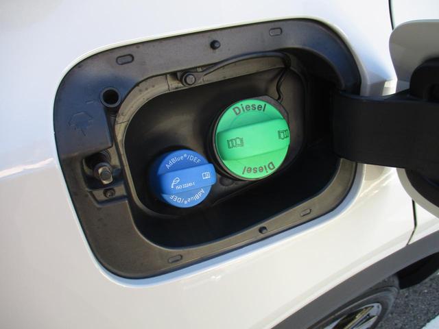 T-ロック TDI 4モーション Rライン ブラックスタイル(23枚目)