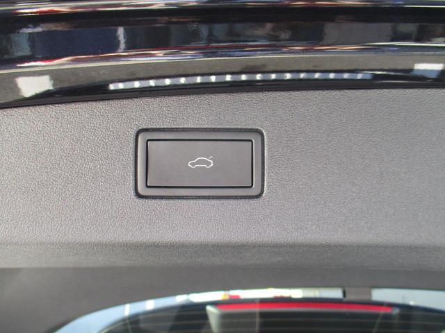 ティグアン TDI 4モーション エレガンス(17枚目)