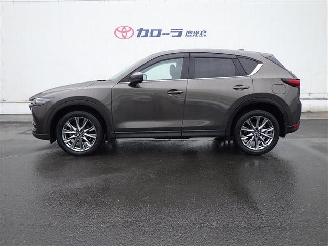 �P�Q���ɓ���܂�������Ζ��労�ӍՎ��{���􍡂ł�����V�����N��V�������N���}�łn�j��y�����Ԃ���l�C�̃~�j�o����O�R���p�N�g�^�C�v�E�r�t�u�ȂǖL�x�ȃ��C���i�b�v�ł��҂����Ă��܂���