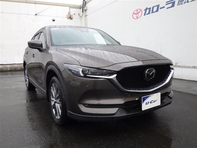 �P�Q���ɓ���܂�������Ζ��労�ӍՎ��{���􍡂ł�����V�����N��V�������N���}�łn�j��y�����Ԃ���l�C�̃~�j�o����O�R���p�N�g�^�C�v�E�r�t�u�ȂǖL�x�ȃ��C���i�b�v�ł��҂����Ă��܂���