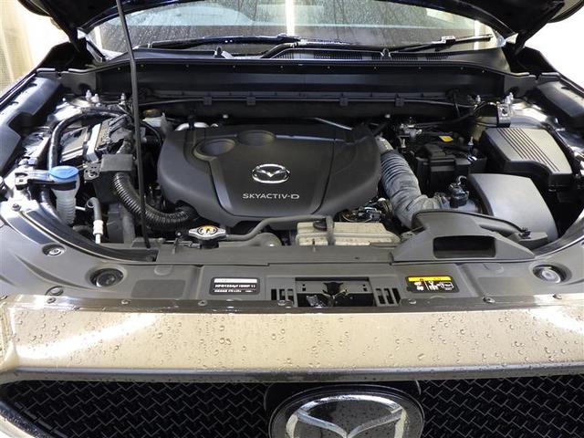 �P�Q���ɓ���܂�������Ζ��労�ӍՎ��{���􍡂ł�����V�����N��V�������N���}�łn�j��y�����Ԃ���l�C�̃~�j�o����O�R���p�N�g�^�C�v�E�r�t�u�ȂǖL�x�ȃ��C���i�b�v�ł��҂����Ă��܂���