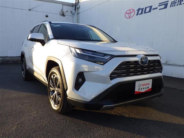 �����܂��Ă��߂łƂ��������܂��I�I�V�t���������V�Љ�l�����t�F�A���J�Â��܂��I�I�����ҏ����ł��̂ŁA�ǂ��������߂ɂ��z�����������܂����