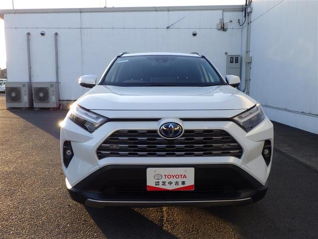 �����܂��Ă��߂łƂ��������܂��I�I�V�t���������V�Љ�l�����t�F�A���J�Â��܂��I�I�����ҏ����ł��̂ŁA�ǂ��������߂ɂ��z�����������܂����