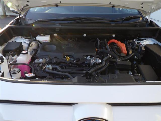 �����܂��Ă��߂łƂ��������܂��I�I�V�t���������V�Љ�l�����t�F�A���J�Â��܂��I�I�����ҏ����ł��̂ŁA�ǂ��������߂ɂ��z�����������܂����