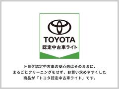 �ѥå� �������ء��̥ѥå�����������ꡡ�ɥ饤�֥쥳�����������ɻ� 1100611A20260117T008 2