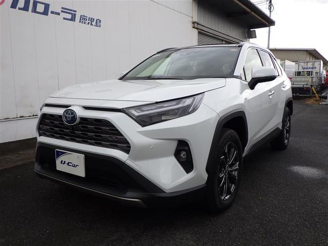 RAV4 ハイブリッドG 衝突被害軽減装置 パノラマサンルーフ AC100V電源 バックモニター 地デジTV LEDヘッドライト スマキー 電動シ-ト AWD TVナビ パワステ 横滑り防止装置 クルコン AAC エアバッグ(11枚目)