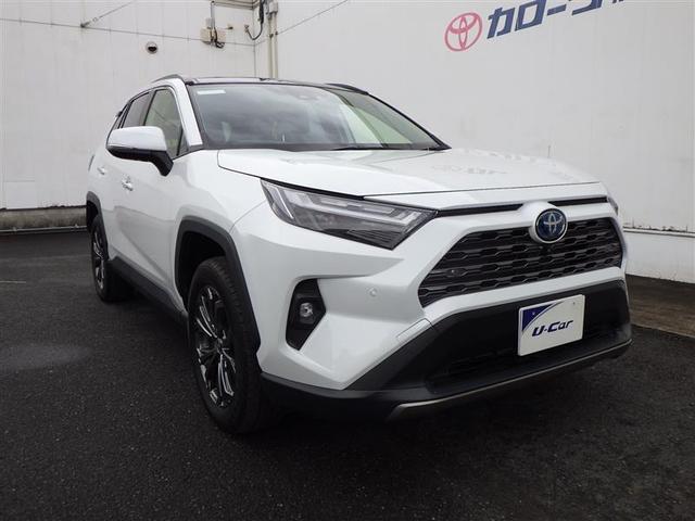 RAV4 ハイブリッドG 衝突被害軽減装置 パノラマサンルーフ AC100V電源 バックモニター 地デジTV LEDヘッドライト スマキー 電動シ-ト AWD TVナビ パワステ 横滑り防止装置 クルコン AAC エアバッグ(17枚目)