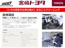 Ｚ　パワーウィンドウ　ＥＳＣ　サポカー　Ｂカメ　カーテンエアバッグ　スマキー　ＡＢＳ　ナビ＆ＴＶ　ＥＴＣ車載器　キーフリー　ＬＥＤヘットライト　ＰＳ　ミュージックプレイヤー接続可　メモリナビ　盗難防止装置(48枚目)