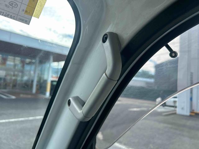 トッテの写真です