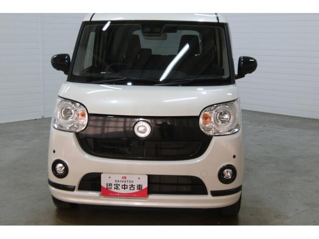 前からの画像です