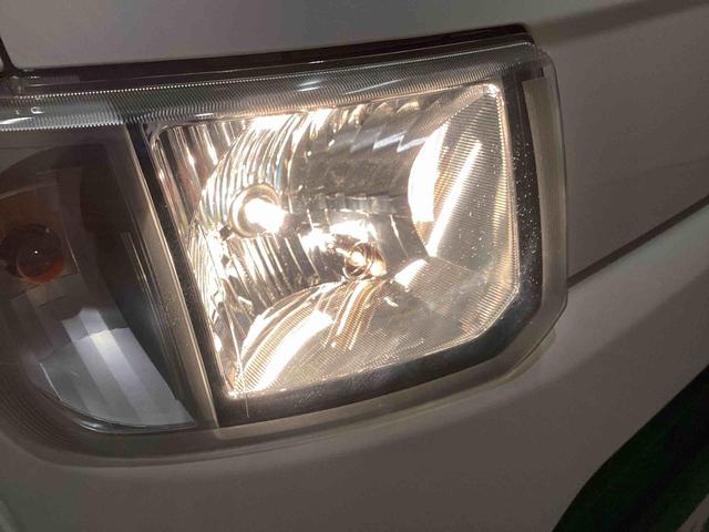 �w�b�h���C�g�_���̎ʐ^�ł�