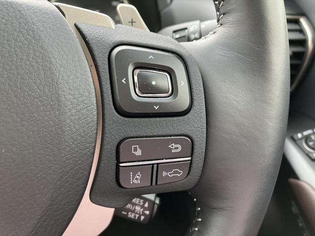 NX300 バージョンL ムーンルーフ/赤革シート/純正ナビ/フルセグTV&バックカメラ/レーダークルーズコントロール/パワーシート/シートヒーター&シートエアコン/パワーリアゲート/ドラレコ/ETC/ステアリングヒーター(34枚目)