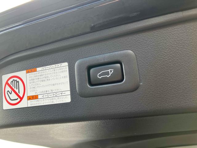 ���Ԃ̒m�����Ȃ��Ă����v�ł��I�F�l�̂����X���X�^�b�t�ꓯ�A�S��肨�҂����Ă���܂��B