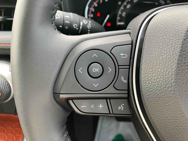 ＲＡＶ４ アドベンチャー　４ＷＤ　ＥＴＣ　バックカメラ　クリアランスソナー　オートクルーズコントロール　レーンアシスト　パワーシート　衝突被害軽減システム　ナビ　ＴＶ　オートマチックハイビーム　オートライト　ＬＥＤヘッドランプ（18枚目）