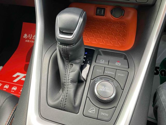 ＲＡＶ４ アドベンチャー　４ＷＤ　ＥＴＣ　バックカメラ　クリアランスソナー　オートクルーズコントロール　レーンアシスト　パワーシート　衝突被害軽減システム　ナビ　ＴＶ　オートマチックハイビーム　オートライト　ＬＥＤヘッドランプ（31枚目）