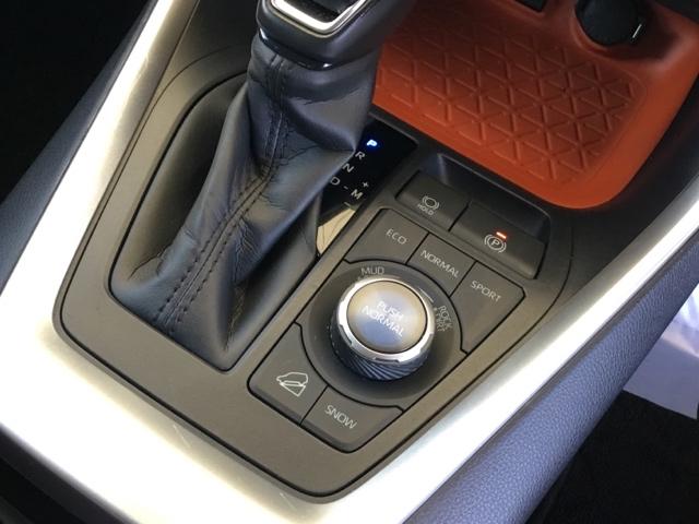 ＲＡＶ４ アドベンチャー　クルコン　衝突被害軽減Ｂ　障害物センサー　バックカメラ　ドラレコ　純正ナビ　フルセグ　ＥＴＣ２．０　電動シート　リヤカメラ　レザー　クルーズＣ　ナビテレビ　ＬＥＤライト　イモビ　地デジ　ＥＳＣ　ＰＳ（22枚目）
