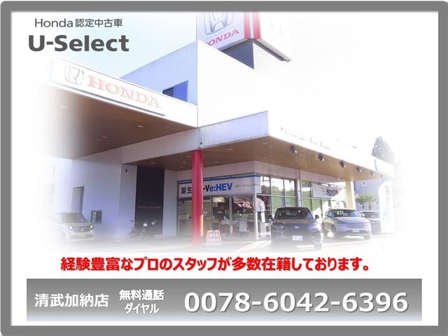 G・ホンダセンシング ワンオーナー・Gathasナビ・Bluetoothオーディオ・CD・DVD・TV・SD・USB・カメラ・ETC・Honda SENSING・両側電動スライドドア・(30枚目)
