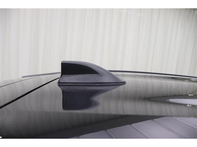 �y�h���t�B���A���e�i�z�X�|�[�e�B�ŃJ�b�R�C�C��