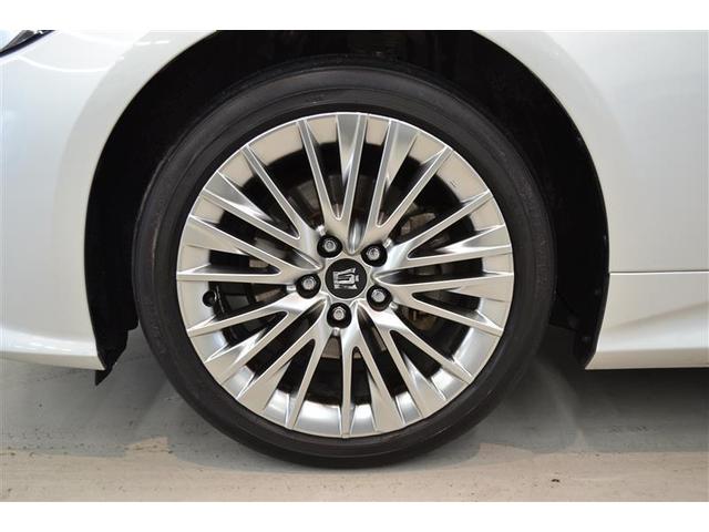 ���S�Q�D���ԗ������ؖ����t�����@�g���^�F��ԗ��������ɂ�錵���Ȍ����I�C�����͂������A�킸���ȃL�Y�����������`�����܂��I�@�N���}�̏�Ԃ��ЂƂ߂ł킩��܂��B