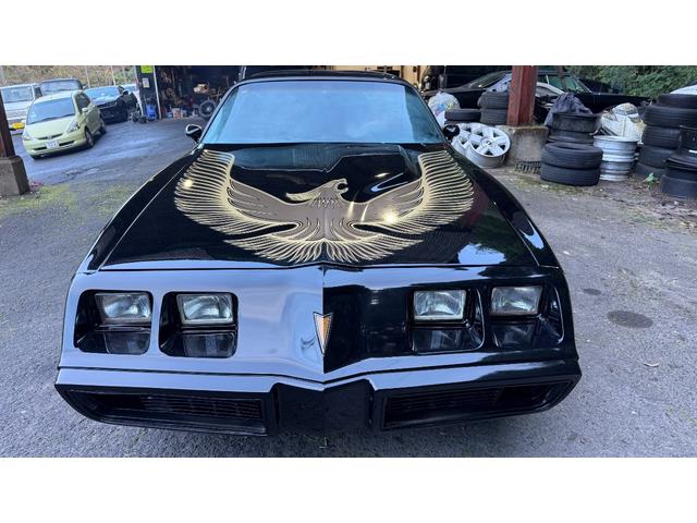 ポンテアックファイヤーバード 1979年式モデル 301E/g 4900cc V8 ターボスペック Tバールーフ 外装オールペン済み(2枚目)