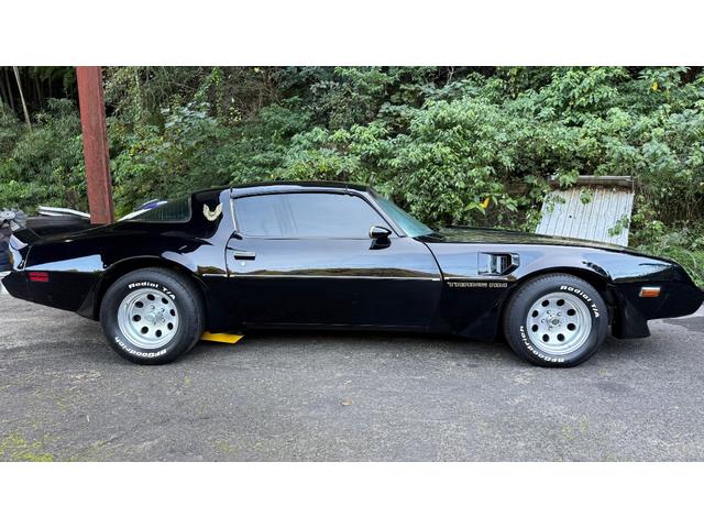 ポンテアックファイヤーバード 1979年式モデル 301E/g 4900cc V8 ターボスペック Tバールーフ 外装オールペン済み(4枚目)