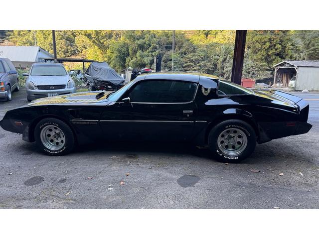 ポンテアックファイヤーバード 1979年式モデル 301E/g 4900cc V8 ターボスペック Tバールーフ 外装オールペン済み(5枚目)