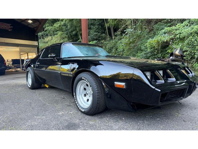 ポンテアックファイヤーバード 1979年式モデル 301E/g 4900cc V8 ターボスペック Tバールーフ 外装オールペン済み(6枚目)