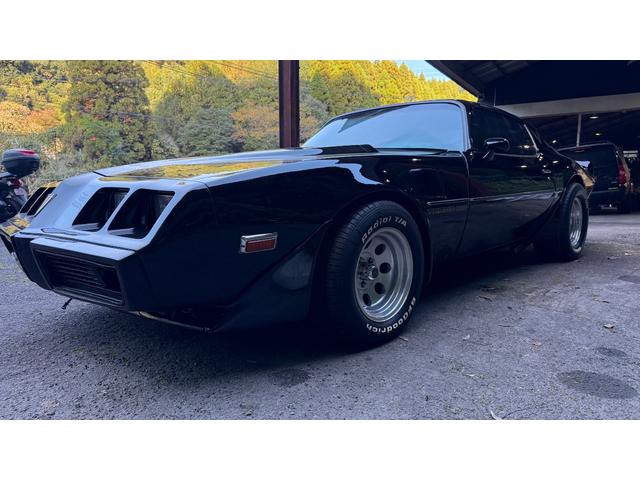 ポンテアックファイヤーバード 1979年式モデル 301E/g 4900cc V8 ターボスペック Tバールーフ 外装オールペン済み(7枚目)