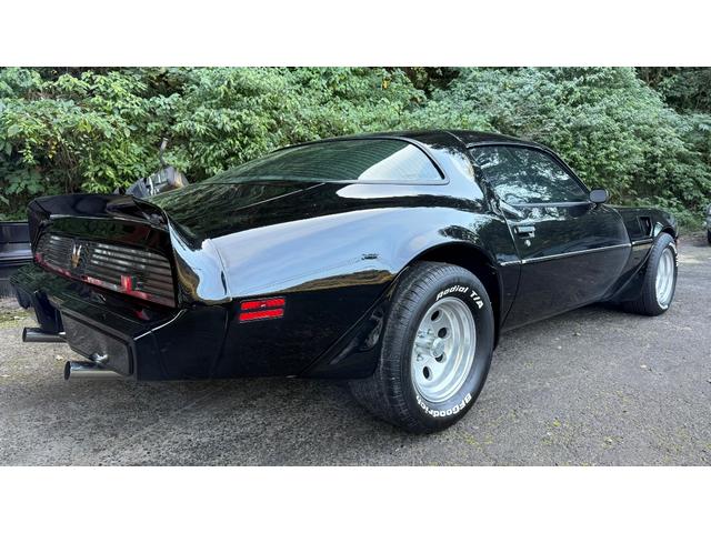 ポンテアックファイヤーバード 1979年式モデル 301E/g 4900cc V8 ターボスペック Tバールーフ 外装オールペン済み(8枚目)