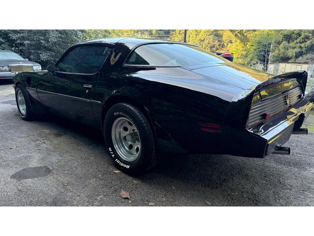 ポンテアックファイヤーバード 1979年式モデル 301E/g 4900cc V8 ターボスペック Tバールーフ 外装オールペン済み(9枚目)