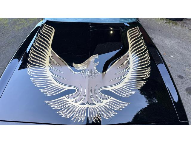 ポンテアックファイヤーバード 1979年式モデル 301E/g 4900cc V8 ターボスペック Tバールーフ 外装オールペン済み(11枚目)