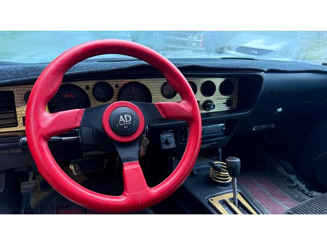 ポンテアックファイヤーバード 1979年式モデル 301E/g 4900cc V8 ターボスペック Tバールーフ 外装オールペン済み(13枚目)