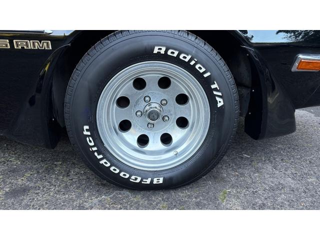 ポンテアックファイヤーバード 1979年式モデル 301E/g 4900cc V8 ターボスペック Tバールーフ 外装オールペン済み(19枚目)