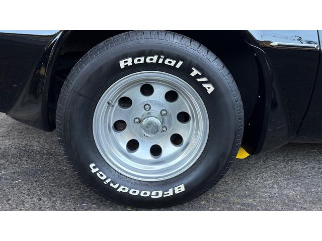 ポンテアックファイヤーバード 1979年式モデル 301E/g 4900cc V8 ターボスペック Tバールーフ 外装オールペン済み(20枚目)