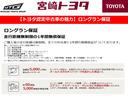 Ｓ　フルセグ地デジＴＶ　衝突軽減Ｂ　ナビ・ＴＶ　ＤＶＤ視聴　Ｓキー　ＡＡＣ　イモビライザー　ＥＴＣ車載器　ＶＳＣ　アクティブクルーズコントロール　ＡＷ　ＬＥＤライト　ＡＵＸ　キーフリーシステム　ＡＢＳ(54枚目)