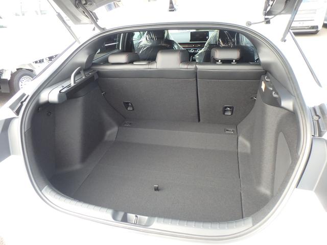 シビック RS 登録済未使用車 ETC2.0 リアカメラ 6MT 衝突防止軽減ブレーキ スマートキー プッシュスタート LEDヘッドライト レーンサポート ソナー クルーズコントロール パワーシート Wシートヒーター(50枚目)