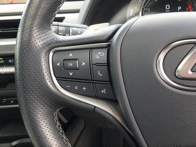 ＵＸ ＵＸ２００　Ｆスポーツ　サンルーフ　ＥＴＣ２．０　ナビ　リアカメラ　スマートキー　プッシュスタート　衝突防止軽減ブレーキ　ＬＥＤヘッドライト　レーンサポート　ソナー　クルーズコントロール　ハンドルシフト　パワーゲート（29枚目）