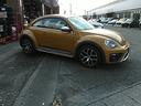 VOLKSWAGEN THE BEETLE