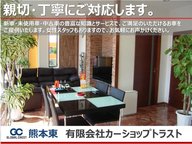 ヴェルファイア 2.4Z 純正エアロ 外19AW 車高調 ナビ TV CD DVD BT バックカメラ 両側パワースライドドア HIDライト フォグ ミラーウィンカー ETC スマートキー 後期モデル(53枚目)