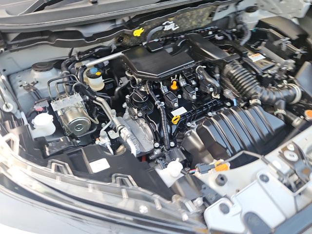 ライズ Ｚ　ハイブリッド　全周囲カメラ　クリアランスソナー　オートクルーズコントロール　レーンアシスト　衝突被害軽減システム　ＴＶ　アルミホイール　スマートキー　シートヒーター　ＣＶＴ　ＵＳＢ　Ｂｌｕｅｔｏｏｔｈ　ＥＳＣ（21枚目）