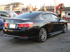 �������ɥϥ��֥�å� �ţء�����롼�ա��ܳץ����ȡ������ȥҡ��������Хå���˥��� 1101265A30251224W001 4