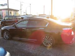 �������ɥϥ��֥�å� �ţء�����롼�ա��ܳץ����ȡ������ȥҡ��������Хå���˥��� 1101265A30251224W001 7