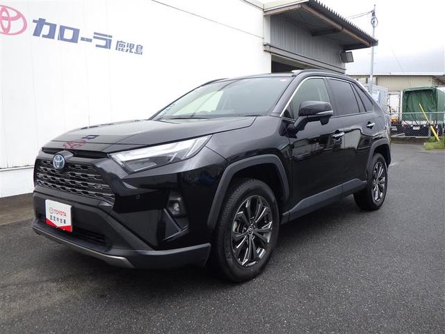 ＲＡＶ４ ハイブリッドＧ　４ＷＤ　フルセグ　メモリーナビ　ＤＶＤ再生　バックカメラ　衝突被害軽減システム　ＬＥＤヘッドランプ　ワンオーナー（3枚目）