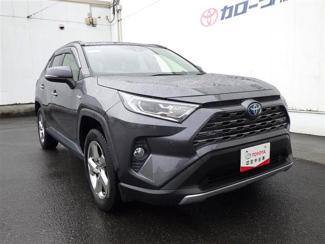 ＲＡＶ４ ハイブリッドＧ　衝突被害軽減装置　ドライブレコーダ　パノラマサンルーフ　ワンオーナ－　バックモニター　地デジＴＶ　ＬＥＤヘッドライト　スマキー　電動シ－ト　ＡＷＤ　ＴＶナビ　パワステ　横滑り防止装置　クルコン　ＡＡＣ（19枚目）