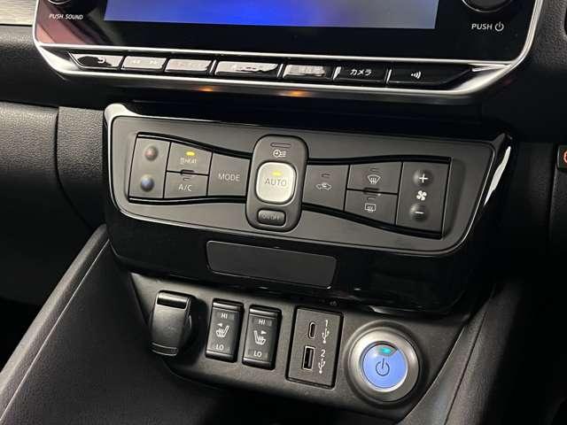 リーフ X(8枚目)