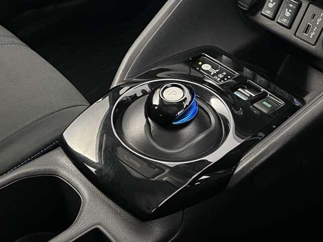 リーフ X(10枚目)